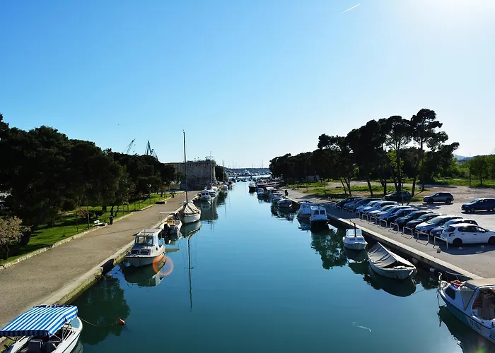 Curic * טרוגיר